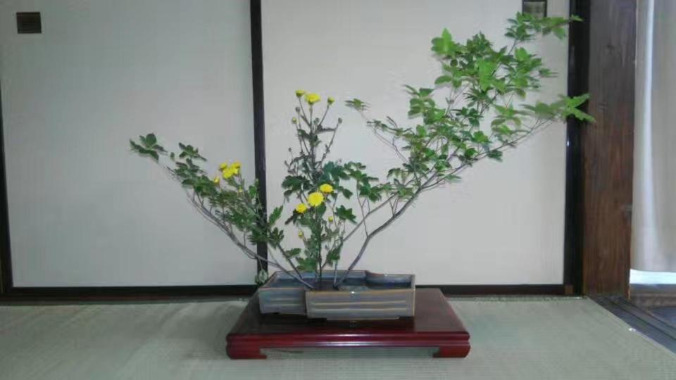 Guest House 鎌倉記憶 كاماكورا المظهر الخارجي الصورة